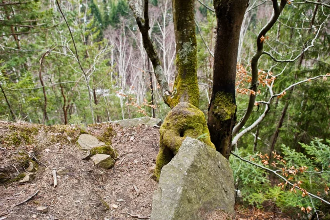 Detalles de la ruta de senderismo