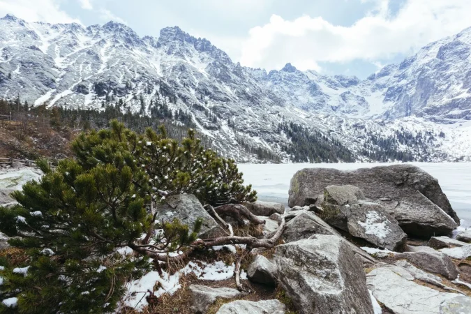 Picos de Europa, paisajes dignos de una postal 81 Merca2.es 2. Mont Blanc, entre Italia y Francia: El inmenso pico blanco en los Alpes