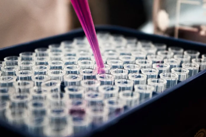 investigación dermatológica