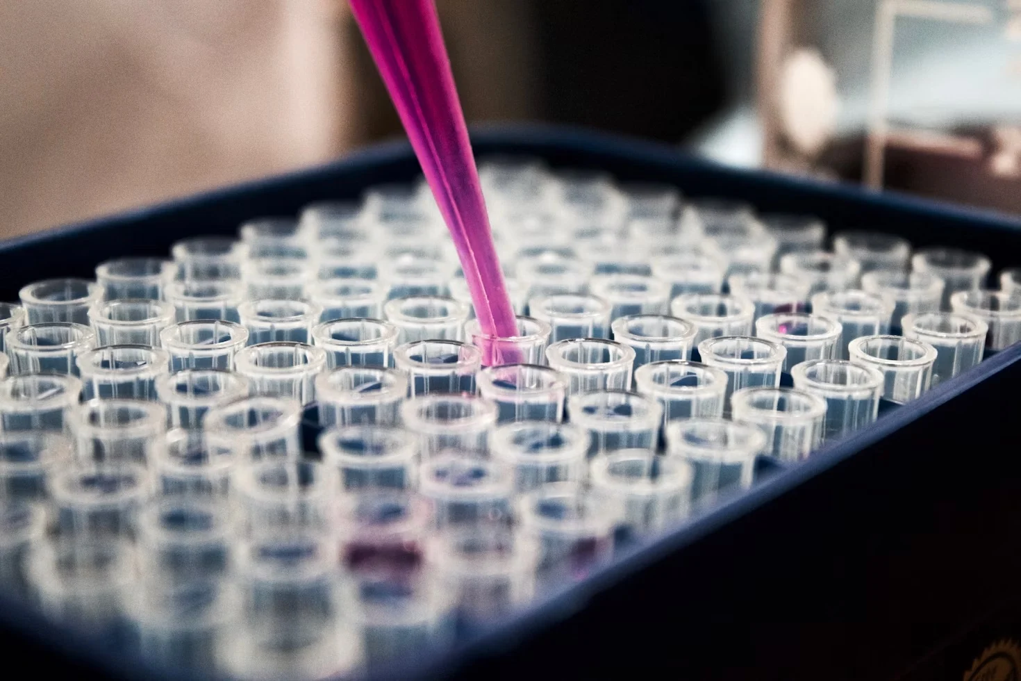 investigación dermatológica