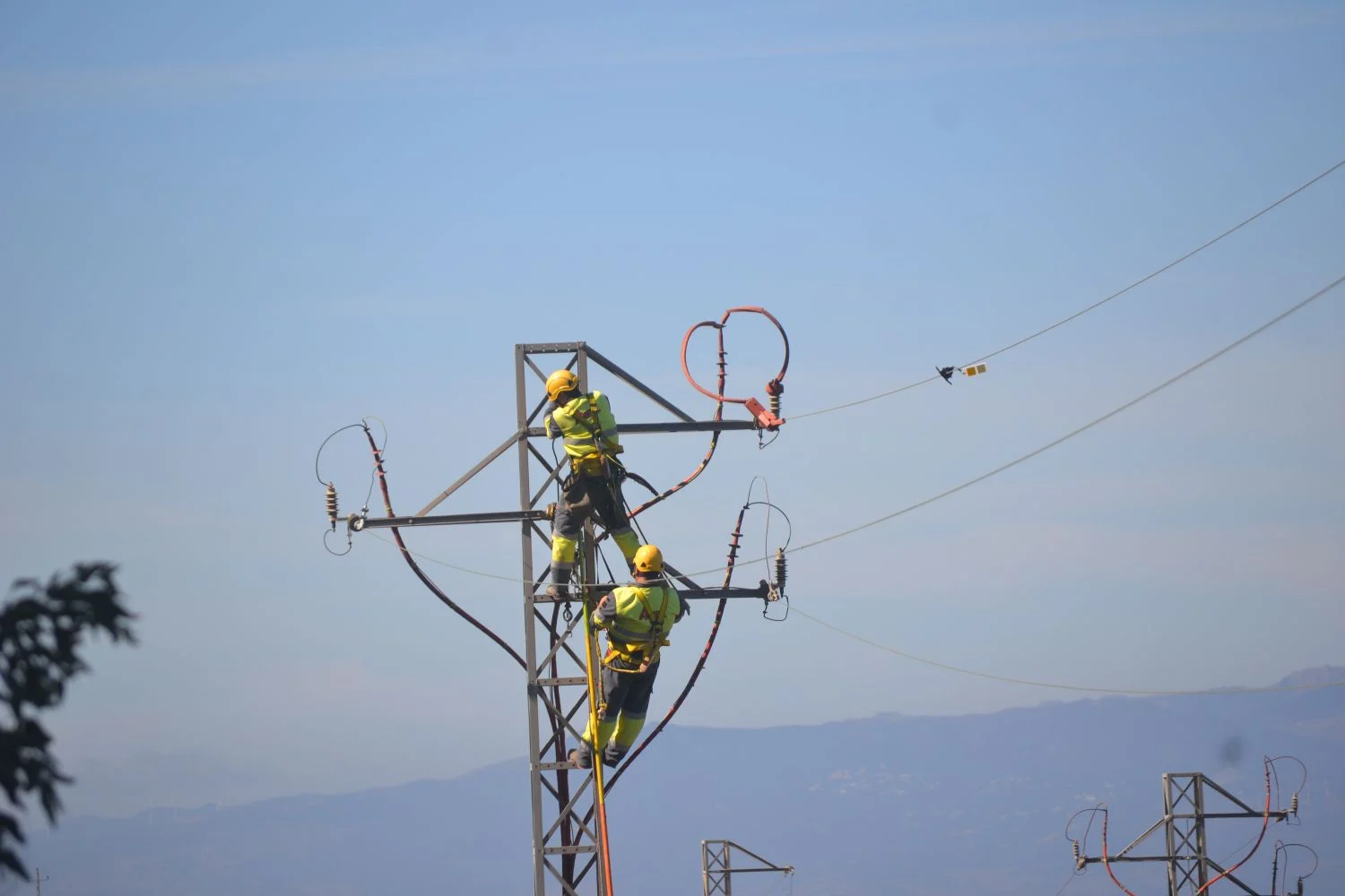 Endesa adecúa cerca de 5.600 apoyos de la red eléctrica para el cuidado de las aves