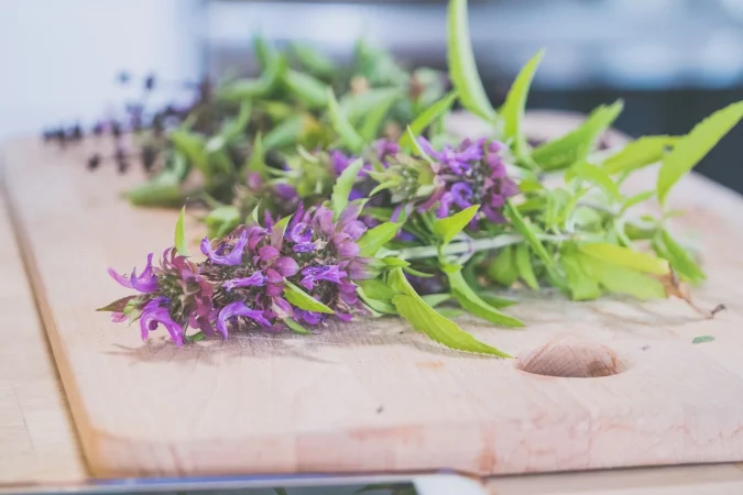 ¿Cómo actúa la lavanda en el cerebro?