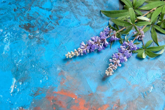 ¿Cómo se prepara una buena infusión de lavanda?