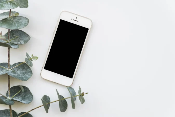 fresh green plant twig with smartphone Merca2.es