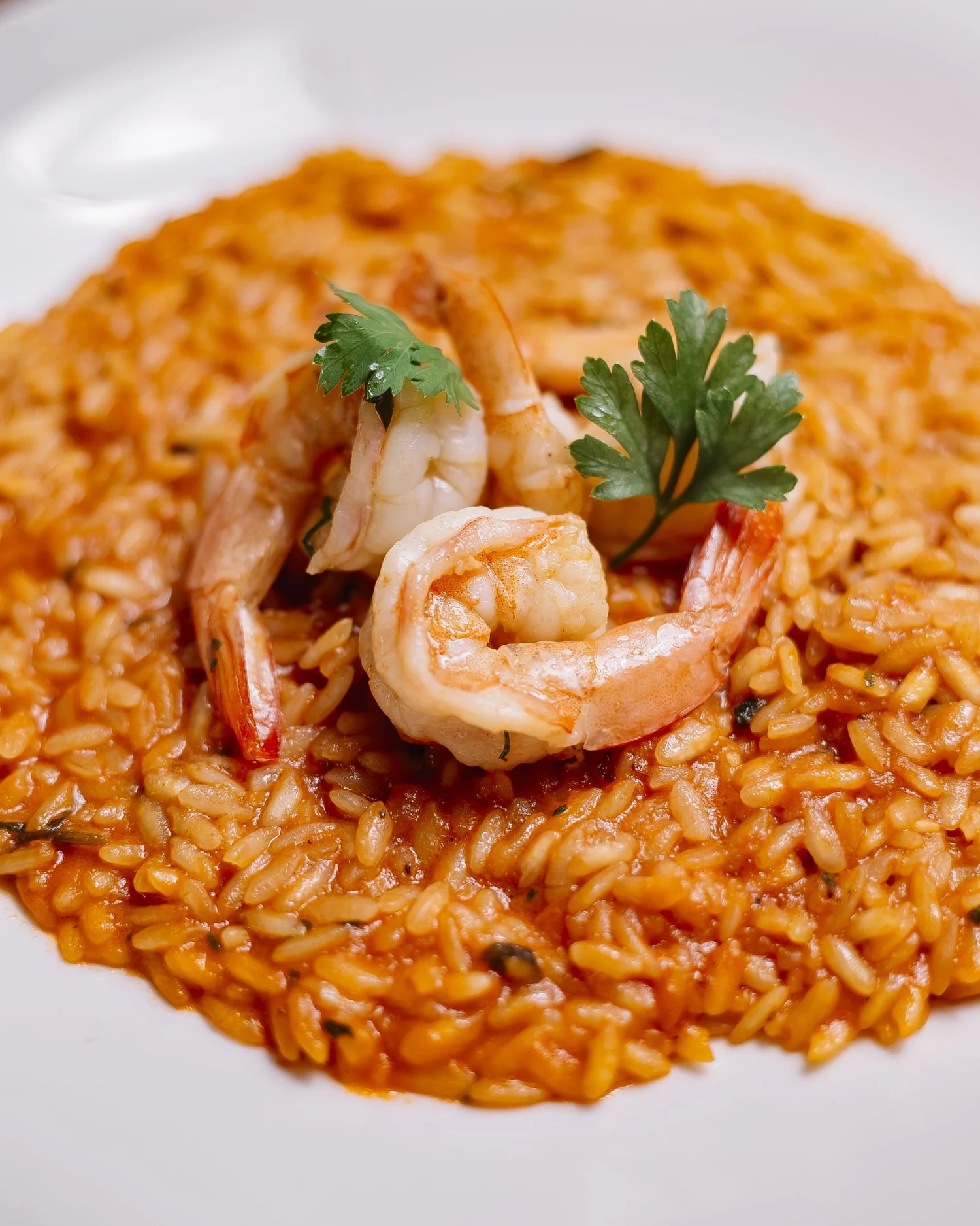Arroz a banda: Una delicia mediterránea sin tropezones pero mucho sabor
