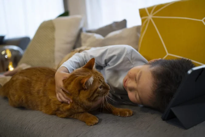 LA COMUNICACIÓN NO VERBAL DEL GATO: MÁS ALLÁ DE LOS MAULLIDOS