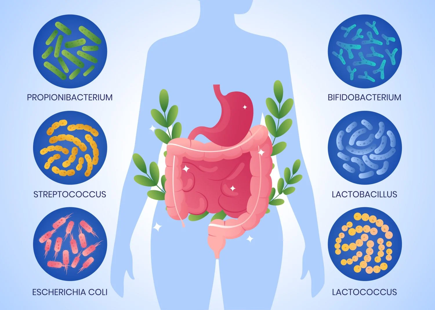 bacterias intestinales