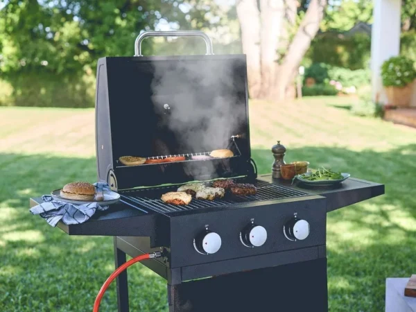 Lidl se adelanta al buen tiempo con este electrodoméstico perfecto para hacer barbacoas al aire libre 29 Merca2.es Un electrodoméstico que se agota en horas