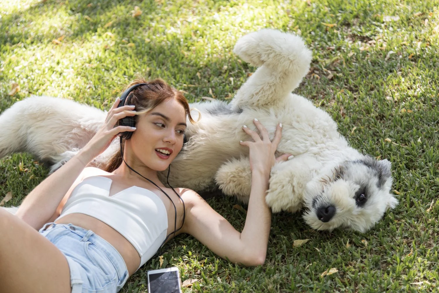 Patentan un invento que gracias a la IA traducirá los sonidos que emita tu mascota