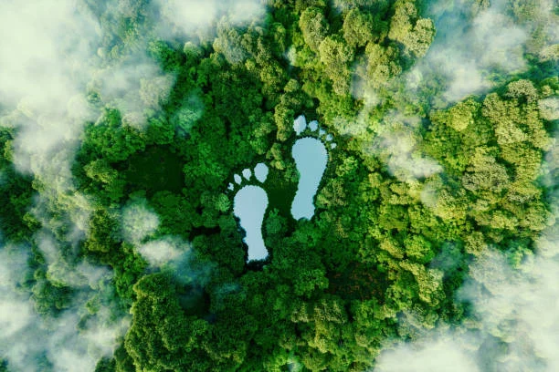 ¿Es el fin de la inversión sostenible por culpa de los cambios políticos y regulatorios en EEUU? 2 Merca2.es cambio climatico sostenibilidad istockphoto Merca2.es