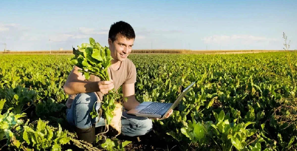sector agrícola