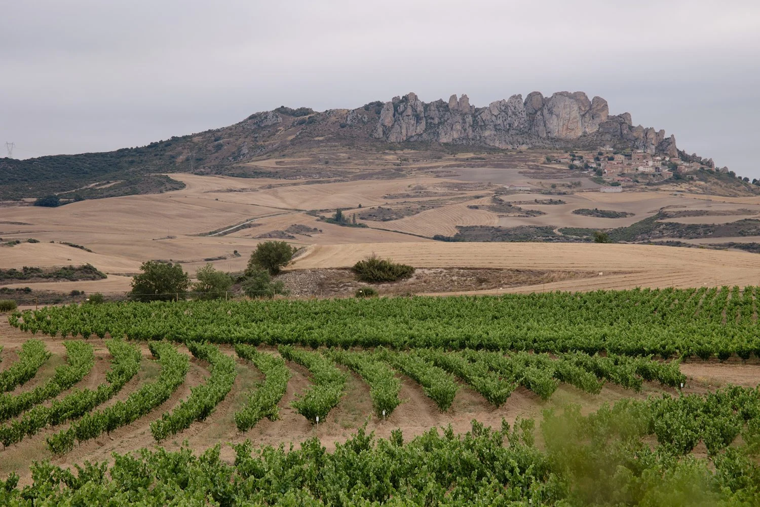 El sistema Keyline: la solución sostenible de Bodegas Roda y Bodegas Carmelo Rodero