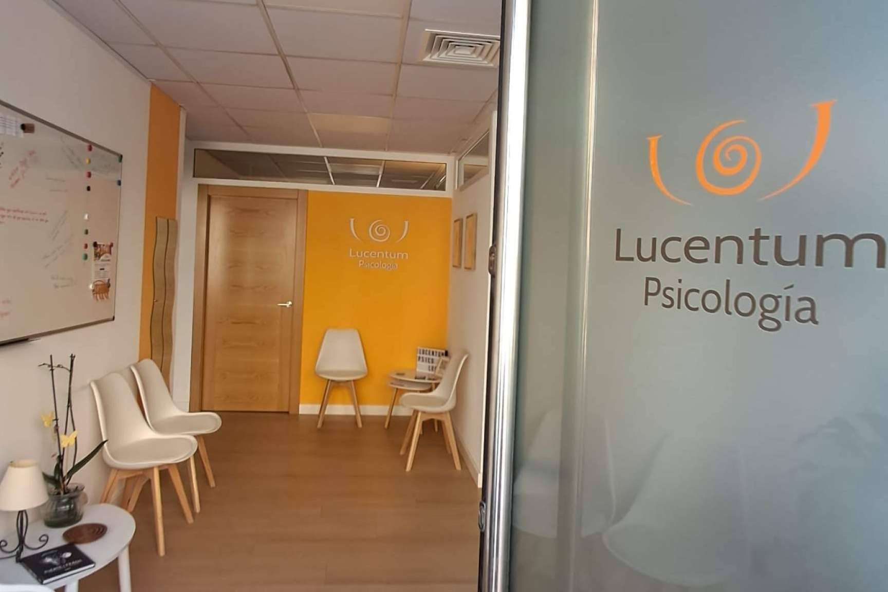 Lucentum Psicología, un centro de psicólogos en Alicante con atención personalizada