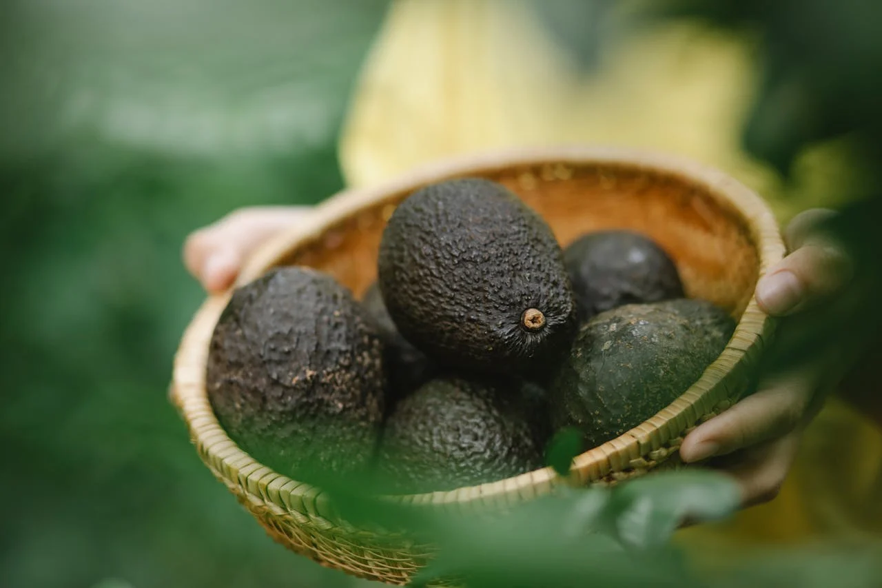 Este truco del aguacate está destrozando el mito de apretarlo para saber si está maduro