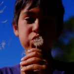 ¡Alerta sanitaria! España padece su peor temporada histórica cuanto a alergias y tardaremos en dejarla atrás