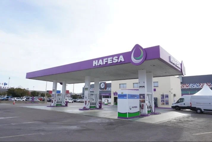 Hafesa
