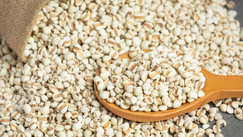 La fiebre del verano: palitos de mijo de Lidl para un refrigerio que se supone que debe ayudarte a perder peso