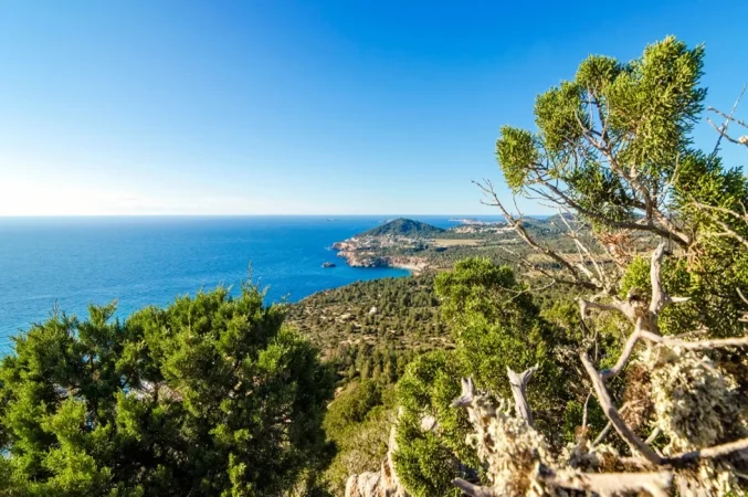 Ibiza 2 Merca2.es