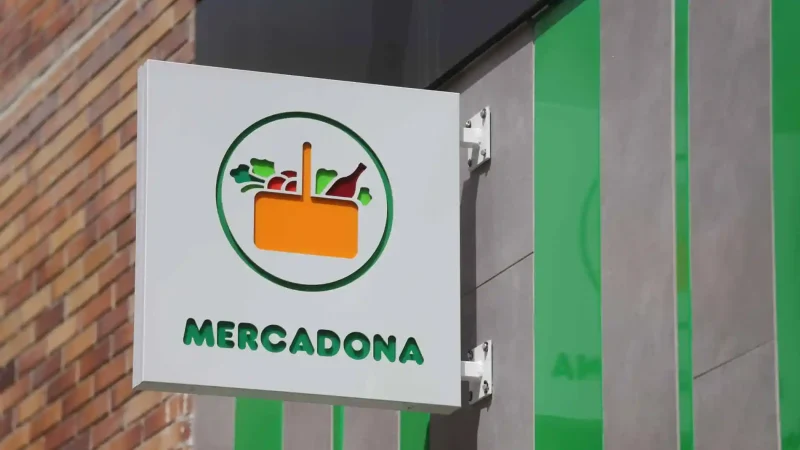 ¿Has probado alguna vez los platos preparados de Mercadona? Ten en cuenta esto que dice la OCU si te decides a comprarlos 7 Merca2.es Frescura y envasado al vacío: garantía de calidad