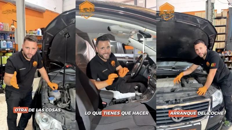 Usuarios que lo apoyan