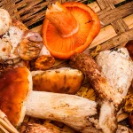 ¿Sabías que este común alimento te llena de energía y vigor para combatir el hastío estival?