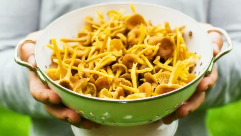 ¿Sabías que este común alimento te llena de energía y vigor para combatir el hastío estival? 17 Merca2.es 2 Brochones de champiñóns en marinada