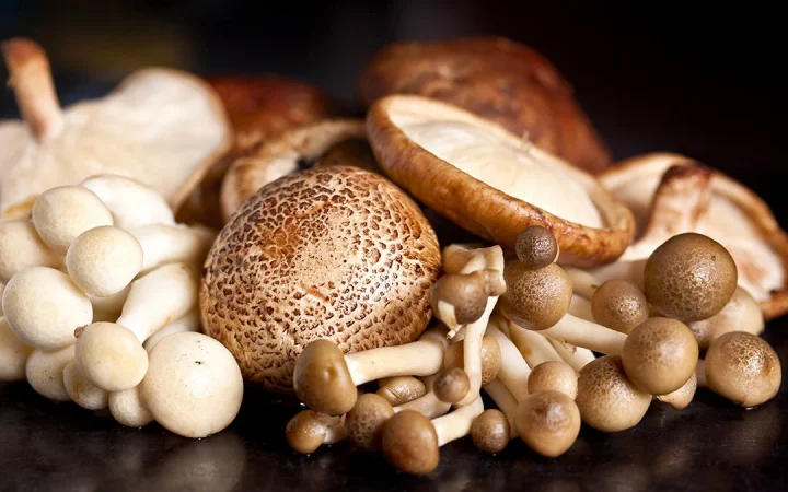¿Sabías que este común alimento te llena de energía y vigor para combatir el hastío estival? 10 Merca2.es El champiñón: más que un simple acompañamiento