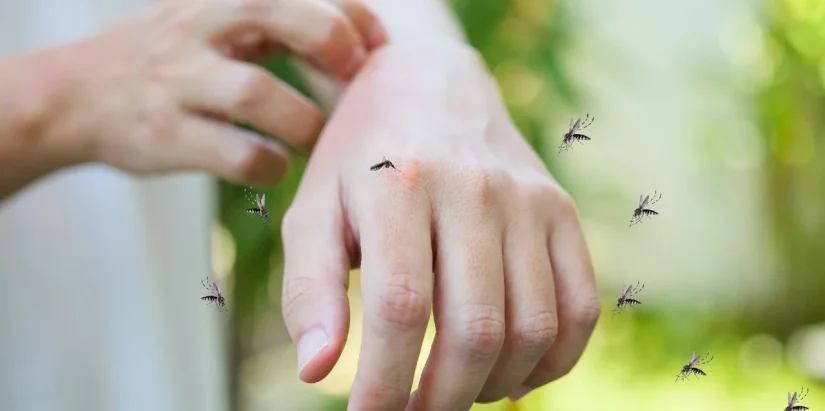 Debes estar atenta a las señales de posibles mosquitos