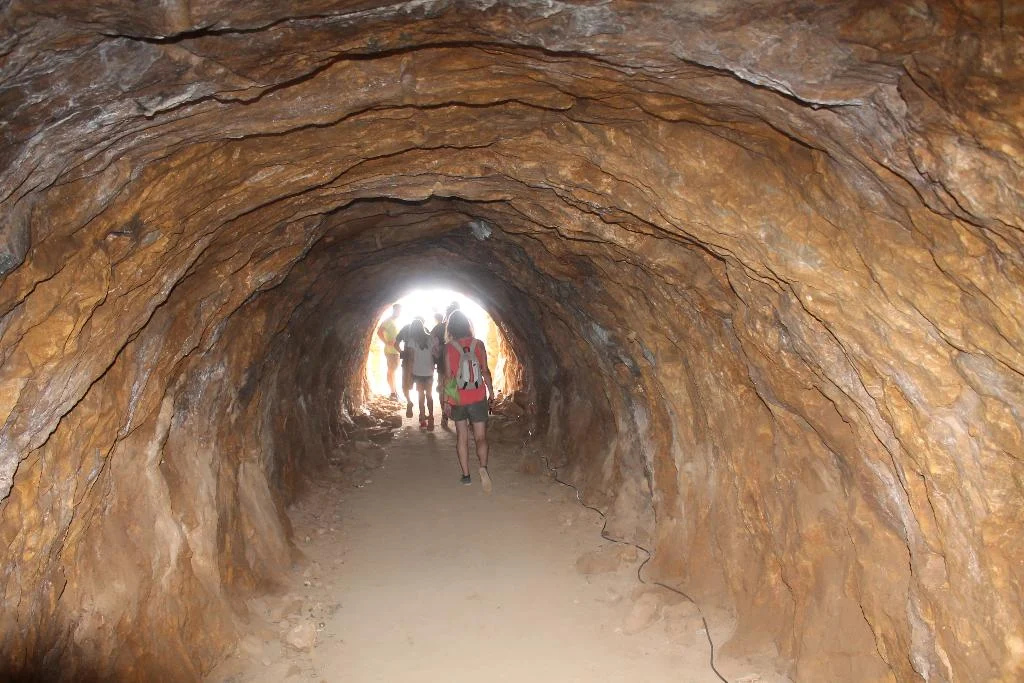 Este rincón de Murcia es catalogado como La 'Capilla Sixtina' de la paleontología submarina y las imágenes son impactantes