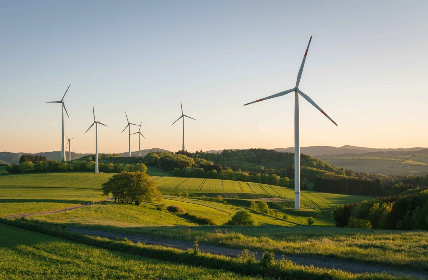 Lucha contra el cambio climático, biodiversidad y creación de valor, principales ejes del Plan de Sostenibilidad 2025-2027 de Endesa