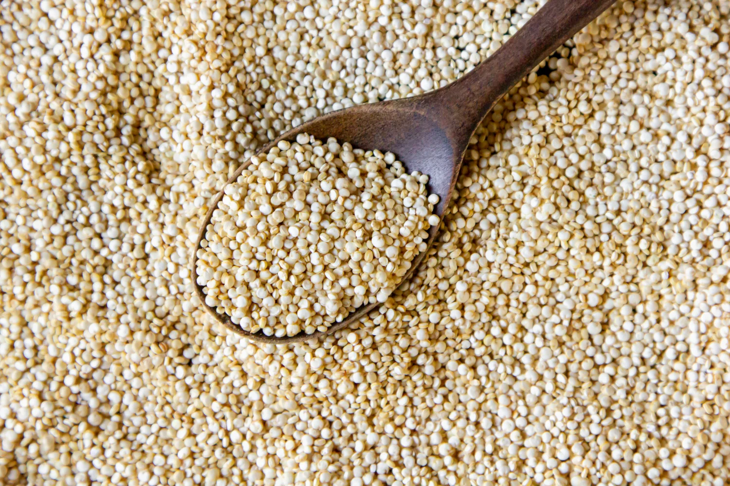 EL SUPERGRANO QUE GUARDA UN SECRETO AMARGO
