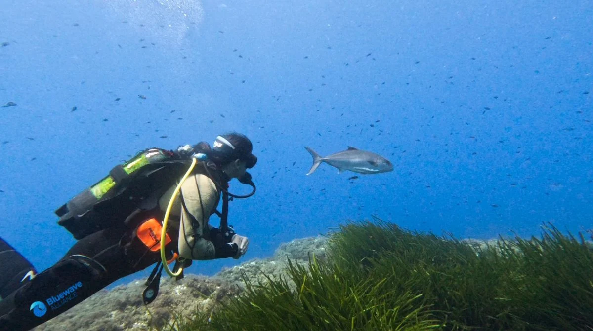 La Bluewave Alliance produce dos nuevos documentales de ‘Waves of Tomorrow’, la serie para concienciar sobre la protección del Mediterráneo