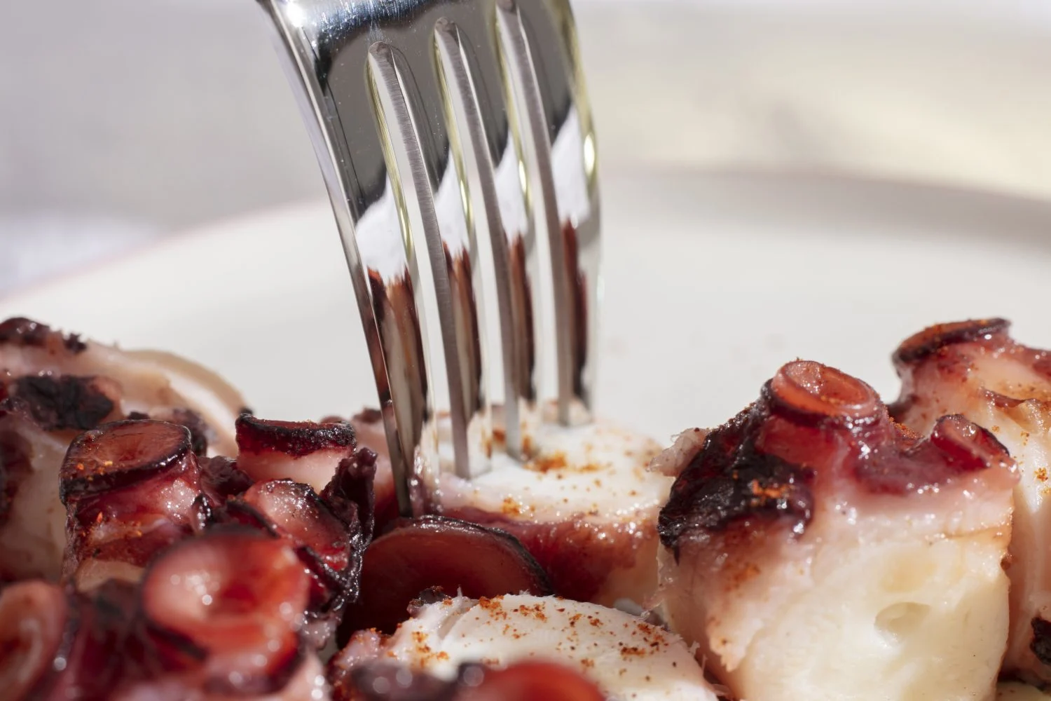 Pulpo a la gallega en casa: 5 trucos infalibles para que siempre te quede jugoso