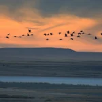 El ‘Mar Muerto’ de Aragón está en Zaragoza: una laguna salada gigante donde flotas sin esfuerzo y en otoño tienes sus barros curativos para ti solo