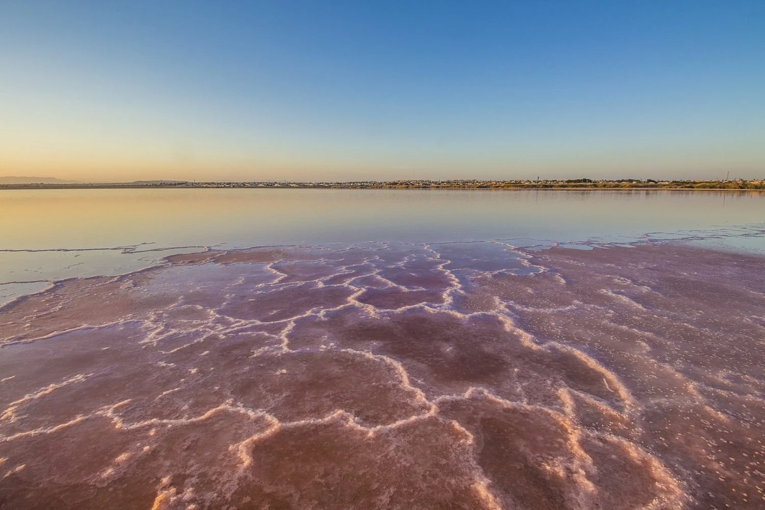 Alicante y su lago rosa viral: por qué este fenómeno natural fascina a turistas pero prohíbe el baño
