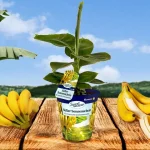 La multinacional española SanLucar Fruit ahonda en su transformación digital con una histórica automatización de procesos